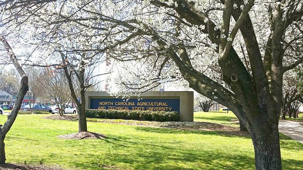 N.C. A&T students take lead on early voting